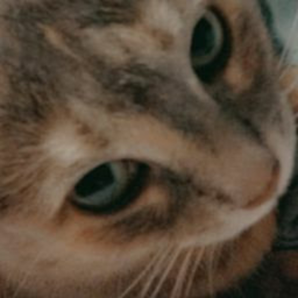 Meet your Posher, Luv